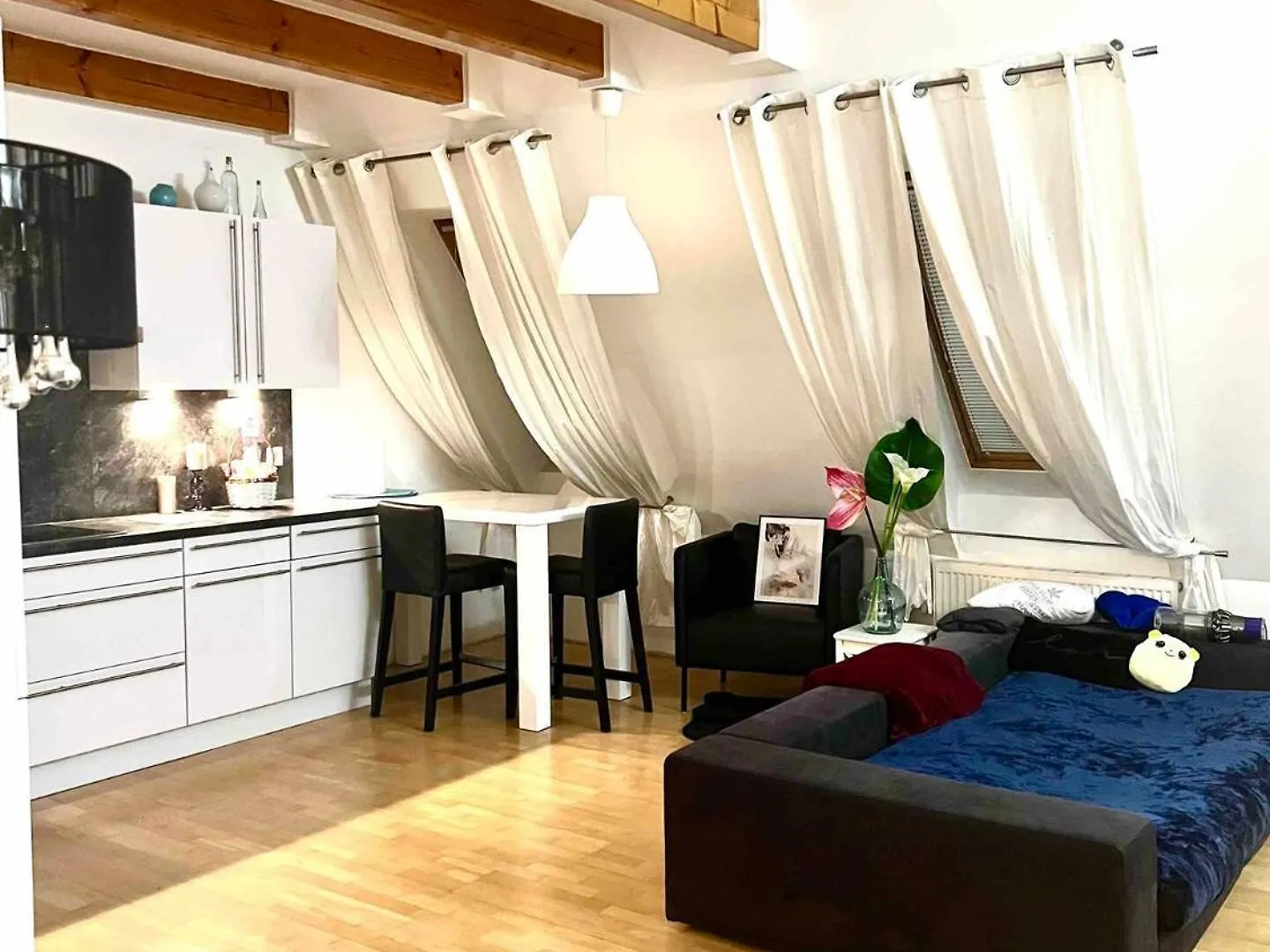 Lovely And Modern Home contacts